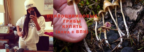 скорость Снежногорск