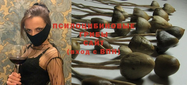 бутират Снежинск