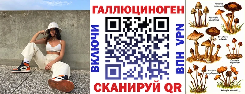 магазин продажи Брюховецкая ОМГ ОМГ маркетплейс Псилоцибиновые грибы Cubensis